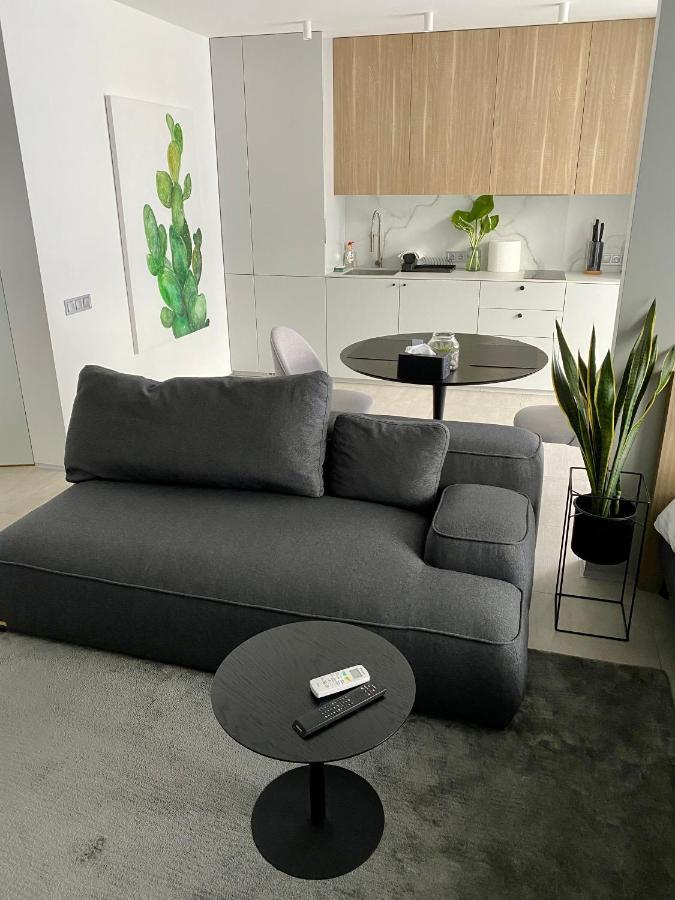 Caсtus Apartments 1 Ιβανό-Φρανκίβσκ Εξωτερικό φωτογραφία