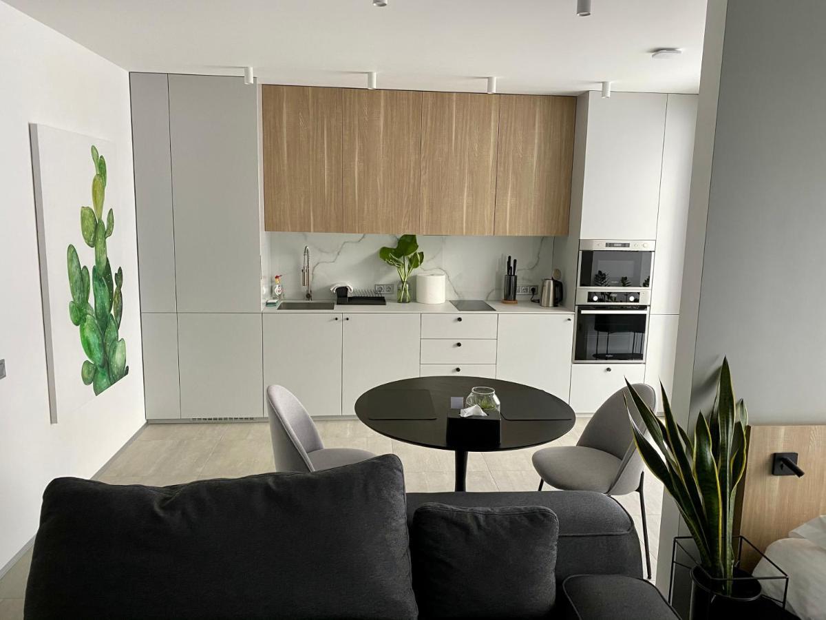 Caсtus Apartments 1 Ιβανό-Φρανκίβσκ Εξωτερικό φωτογραφία